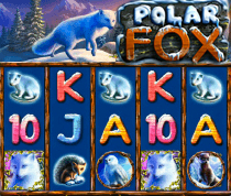 Polar Fox